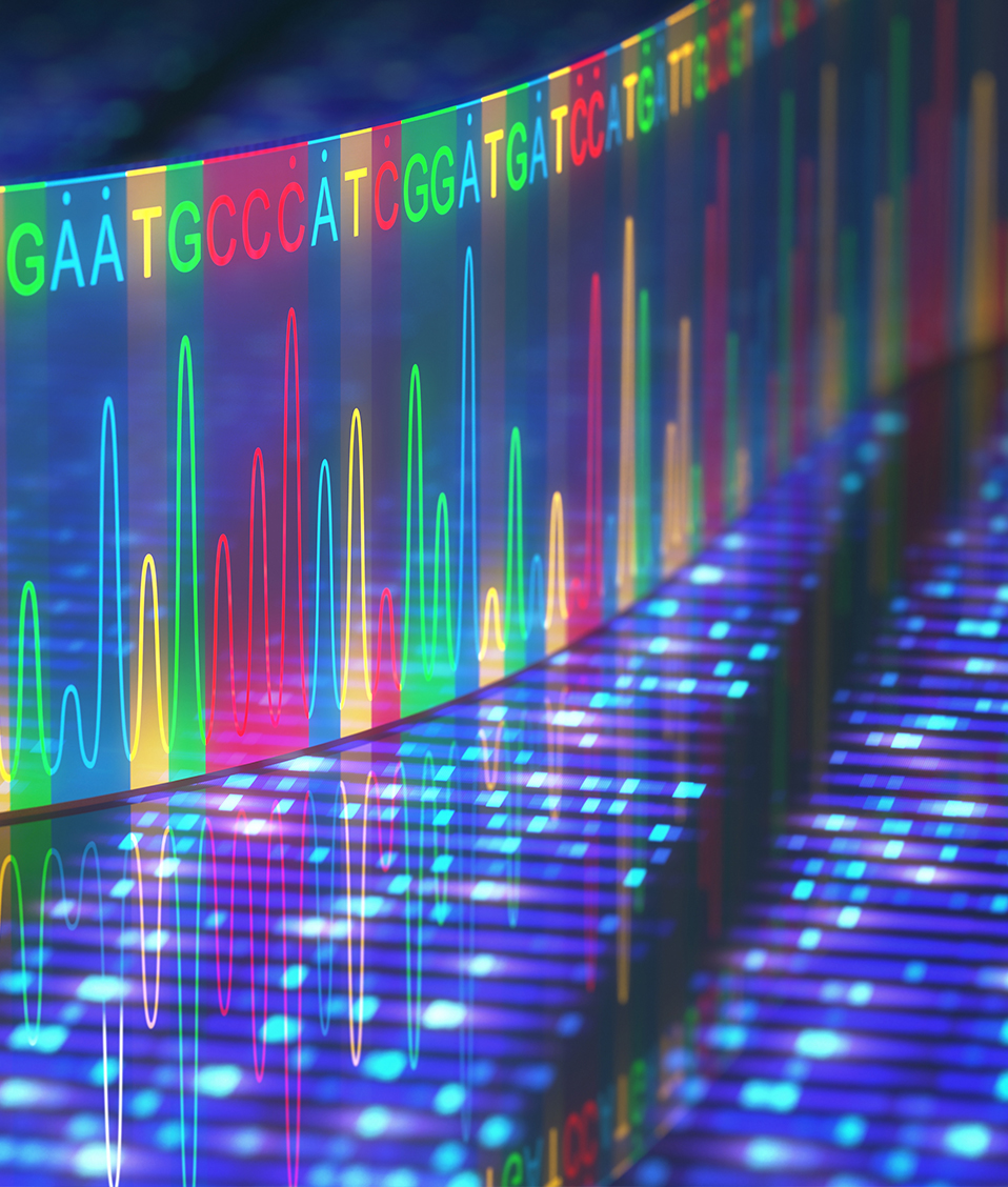 La cadena de ADN del genoma humano aparece representada digitalmente en varios colores