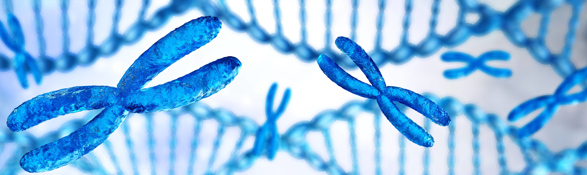 Representación del ADN así como del genoma de forma azul e individual